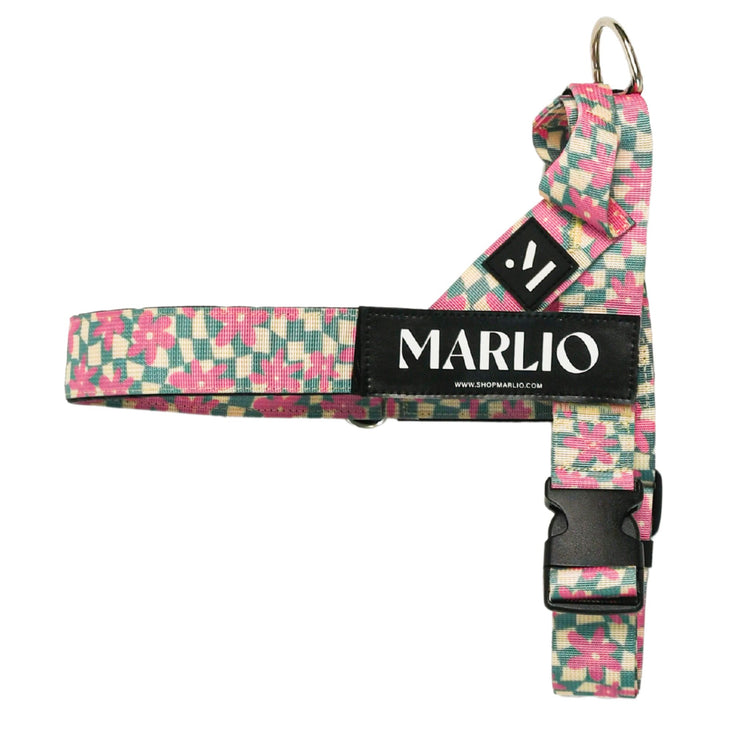 Groovy Floral Dog Harness and Leash Bundle