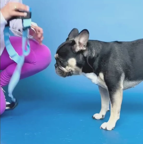 Travis' Designer Dog Leash